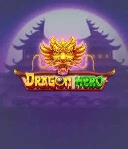 Embark on a legendary quest with Dragon Hero by Pragmatic Play, showcasing breathtaking graphics of ancient dragons and epic encounters. Explore a realm where legend meets excitement, with featuring treasures, mystical creatures, and enchanted weapons for a thrilling adventure.