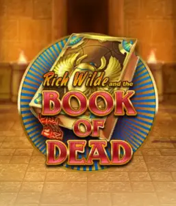 Dive into the thrilling world of Book of Dead by Play'n GO, featuring vivid graphics of Rich Wilde’s adventurous journey through ancient Egyptian tombs and artifacts. Uncover lost riches with exciting mechanics like free spins, expanding icons, and a gamble option. Ideal for those seeking adventure with a desire for unearthing secrets.